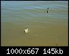     . 

:	IMG_5501.JPG 
:	196 
:	145.1  
ID:	164583