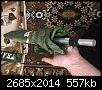     . 

:	2020-03-22 19-19-36.jpg 
:	95 
:	557.2  
ID:	164709