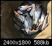     . 

:	image.jpg 
:	188 
:	588.0  
ID:	164719