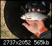     . 

:	image.jpg 
:	175 
:	564.9  
ID:	164720