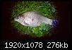     . 

:	3.jpg 
:	369 
:	275.5  
ID:	166158