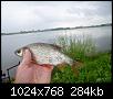     . 

:	6.JPG 
:	184 
:	284.2  
ID:	166271