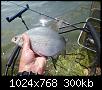     . 

:	10.JPG 
:	187 
:	300.3  
ID:	166283