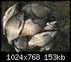     . 

:	69a90334-bd23-458a-856e-7e3acd1db2d4.jpg 
:	378 
:	152.7  
ID:	166393