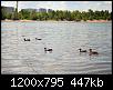     . 

:	DSC_0168.JPG 
:	166 
:	447.4  
ID:	166736
