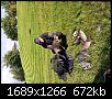     . 

:	20200829_151338.jpg 
:	131 
:	672.4  
ID:	167587