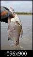     . 

:	DSC_0002.JPG 
:	494 
:	83.0  
ID:	167781