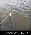     . 

:	239892000_4213194145423517_6714369398512328100_n.jpg 
:	696 
:	67.2  
ID:	173541