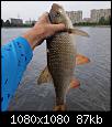     . 

:	240780998_4213194152090183_4513059455913539250_n.jpg 
:	670 
:	86.5  
ID:	173543