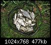     . 

:	aB9VmaQlBgw.jpg 
:	673 
:	477.2  
ID:	173661