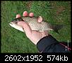     . 

:	IMG_20220426_072421.jpg 
:	90 
:	574.4  
ID:	177418