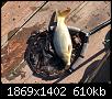     . 

:	IMG_9055.jpg 
:	77 
:	609.7  
ID:	183421