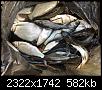     . 

:	IMG_9241.jpg 
:	75 
:	582.4  
ID:	183658