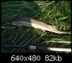     . 

:	2007, 024.jpg 
:	2054 
:	81.9  
ID:	21739