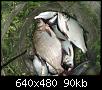     . 

:	2007, 056.jpg 
:	1597 
:	90.3  
ID:	21740