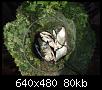     . 

:	2007, 094.jpg 
:	1318 
:	79.7  
ID:	21742
