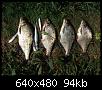     . 

:	2007, 096.jpg 
:	1497 
:	94.3  
ID:	21743