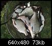     . 

:	2007, 203.jpg 
:	1246 
:	73.3  
ID:	21744