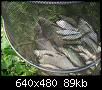     . 

:	2007, 204.jpg 
:	1217 
:	88.8  
ID:	21745