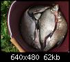     . 

:	2007, 208.jpg 
:	1301 
:	61.8  
ID:	21746