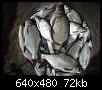     . 

:	2007, 270.jpg 
:	1196 
:	71.7  
ID:	21747