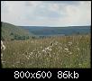     . 

:	2007, 215.jpg 
:	1062 
:	85.8  
ID:	21764