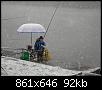     . 

:	DSCN0923.JPG 
:	322 
:	92.2  
ID:	23711