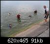     . 

:	IMG_4.jpg 
:	478 
:	90.5  
ID:	31048