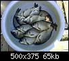     . 

:	0_e57e_1fd4a1b1_L.jpg 
:	740 
:	65.3  
ID:	35360