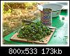     . 

:	DSC_3043.jpg 
:	1041 
:	173.3  
ID:	38367