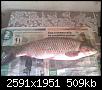     . 

:	IMAG0259.jpg 
:	880 
:	508.6  
ID:	57363