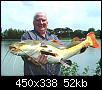     . 

:	amazon-redtail-catfish.jpg 
:	292 
:	51.8  
ID:	64027