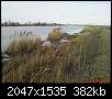     . 

:	DSC02355.jpg 
:	468 
:	381.5  
ID:	67407
