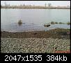     . 

:	DSC02361.jpg 
:	474 
:	383.8  
ID:	67413
