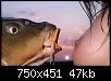     . 

:	fish-004.jpg 
:	3283 
:	47.1  
ID:	75838