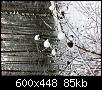 IMG 0152