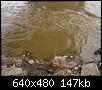     . 

:	007.JPG 
:	742 
:	146.6  
ID:	80477