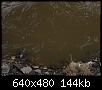     . 

:	008.JPG 
:	712 
:	144.4  
ID:	80478