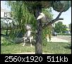     . 

:	Котенок_c_улицы_Л&.jpg 
:	480 
:	510.9  
ID:	81207