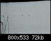    . 

:	24.jpg 
:	394 
:	72.0  
ID:	81338