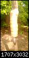     . 

:	WP_20130519_001.jpg 
:	362 
:	512.5  
ID:	81542