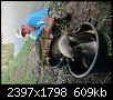     . 

:	image.jpg 
:	1403 
:	608.6  
ID:	82558