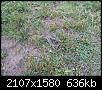     . 

:	20130612_101049.jpg 
:	650 
:	635.8  
ID:	82651