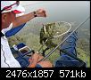     . 

:	IMG_0204[1].jpg 
:	515 
:	571.3  
ID:	83129