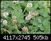     . 

:	IMG_4189.jpg 
:	623 
:	504.8  
ID:	83432