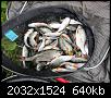     . 

:	image.jpg 
:	1613 
:	639.8  
ID:	84133