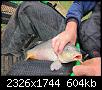     . 

:	image.jpg 
:	1544 
:	604.4  
ID:	84286