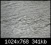     . 

:	DSC01240.JPG 
:	19 
:	340.9  
ID:	84875