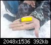     . 

:	DSC00011.JPG 
:	585 
:	392.3  
ID:	85562