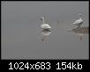     . 

:	IMG_0892.JPG 
:	543 
:	154.1  
ID:	86186